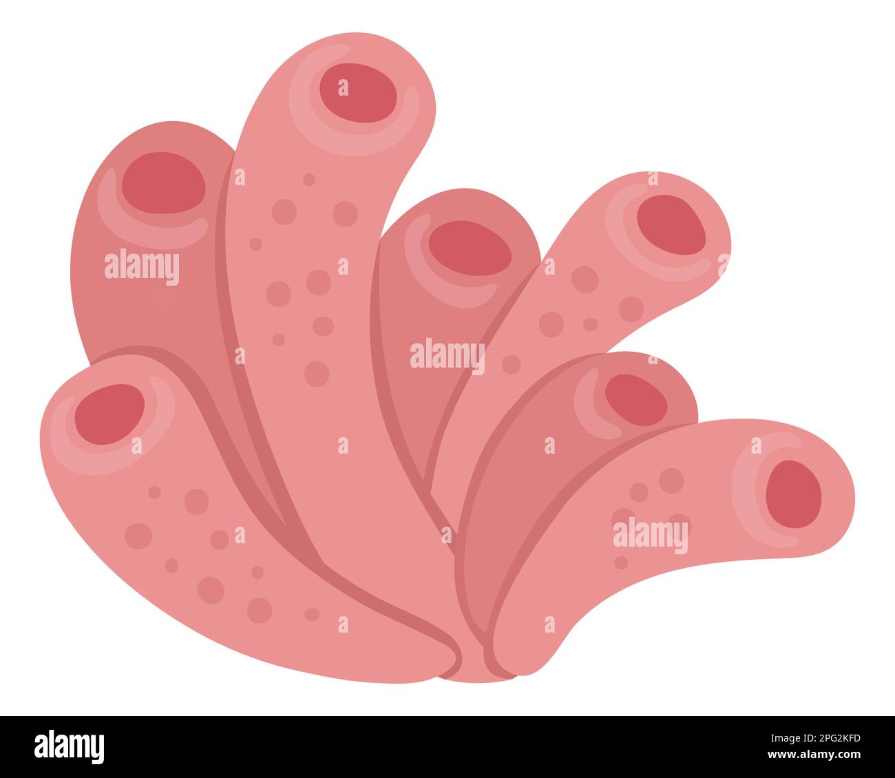 Vector pink sea anemone icon. Under the sea illustration with cute