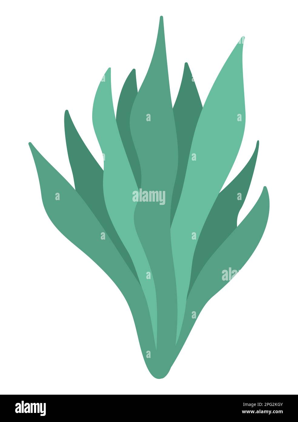 Vector green seaweeds icon. Under the sea illustration with cute kelp ...