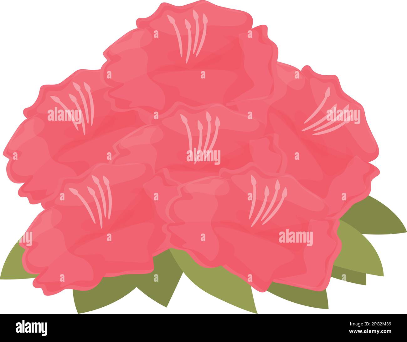 Rhododendron Blossom Icon Cartoon Vector Flower Plant Summer Nature