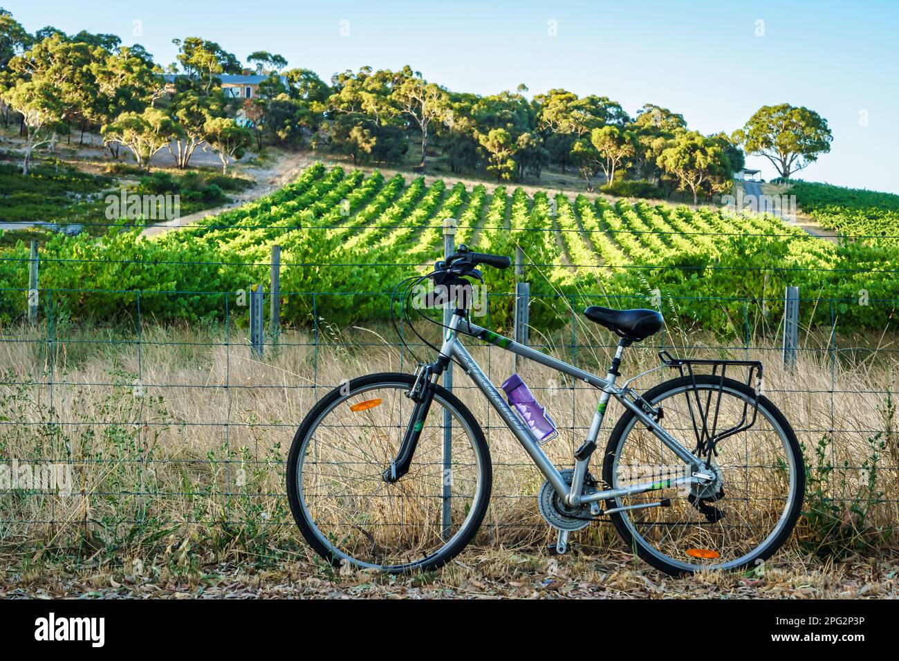 McLaren Vale Bycycle Trail Stock Photo Alamy
