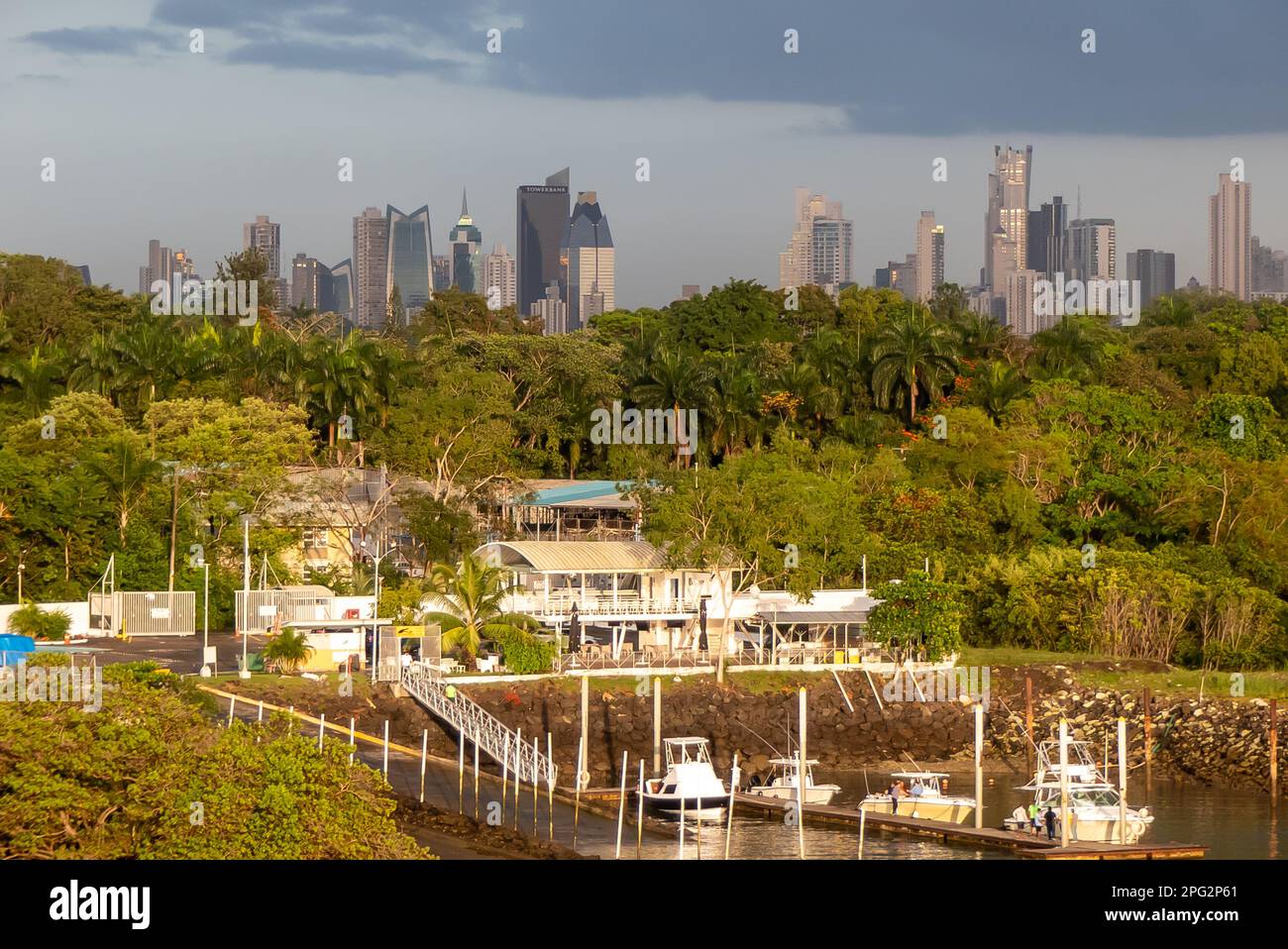 The Panama Canal: the high-rise towers of Panama City appearing above the rainforest. Stock Photo