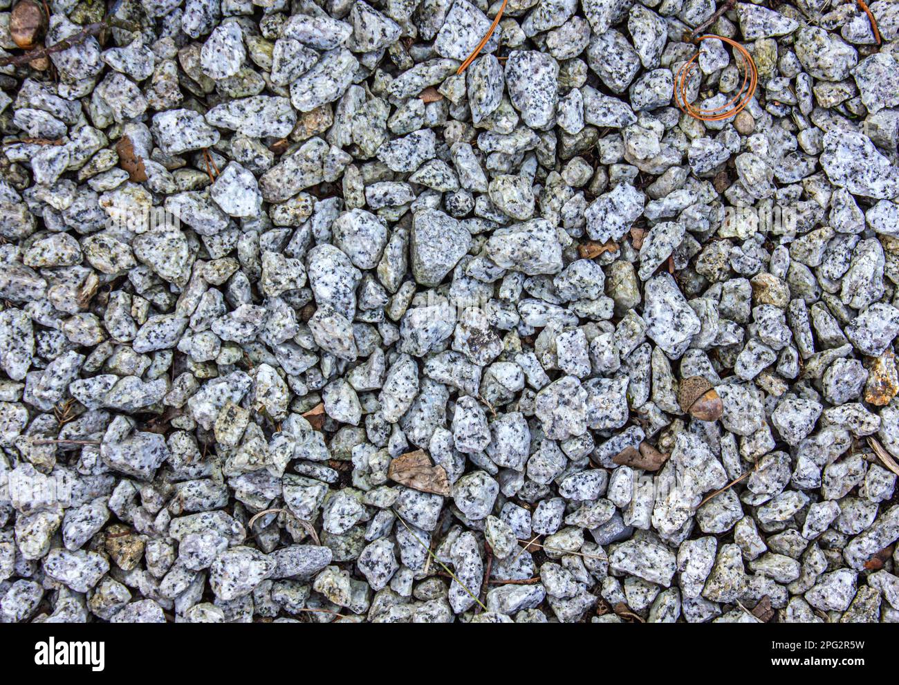 Backround - rocks. Stones on the floor as backround. Stock Photo