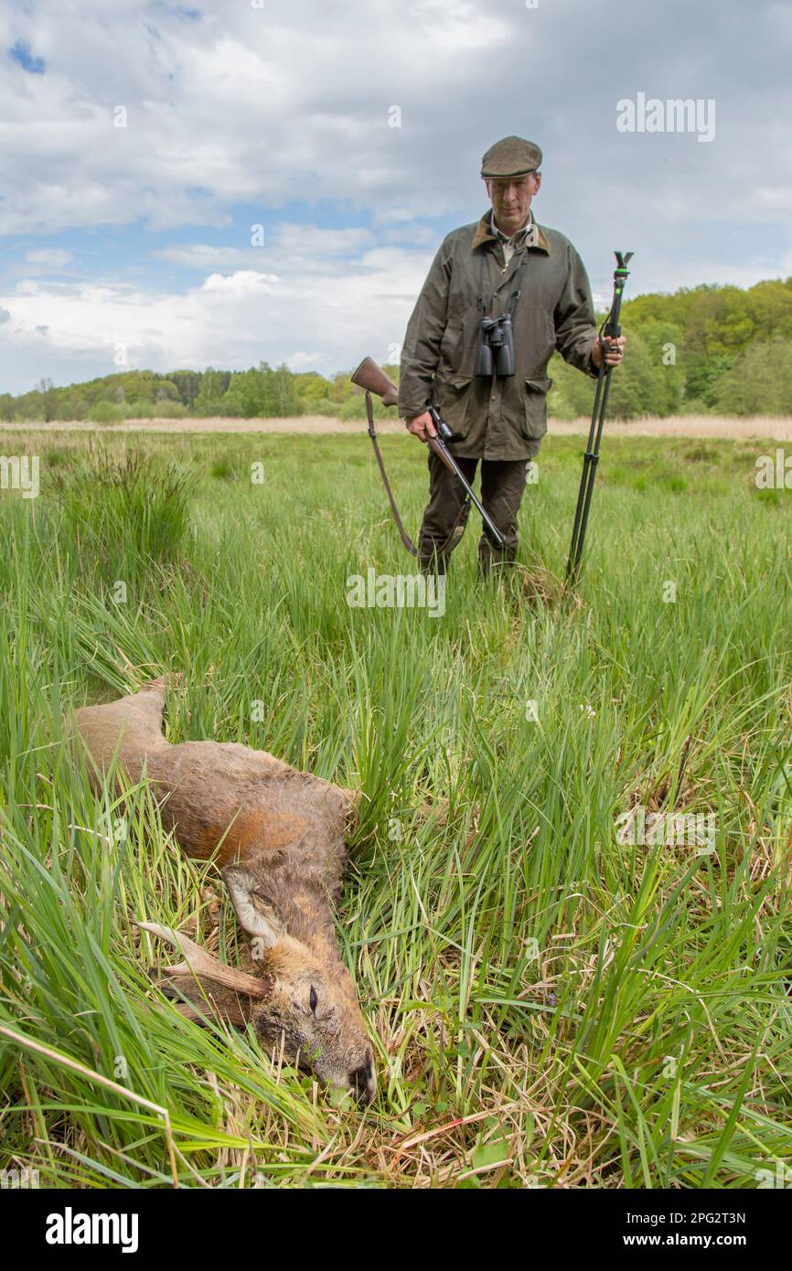 Roe Deer Hunting In Germany