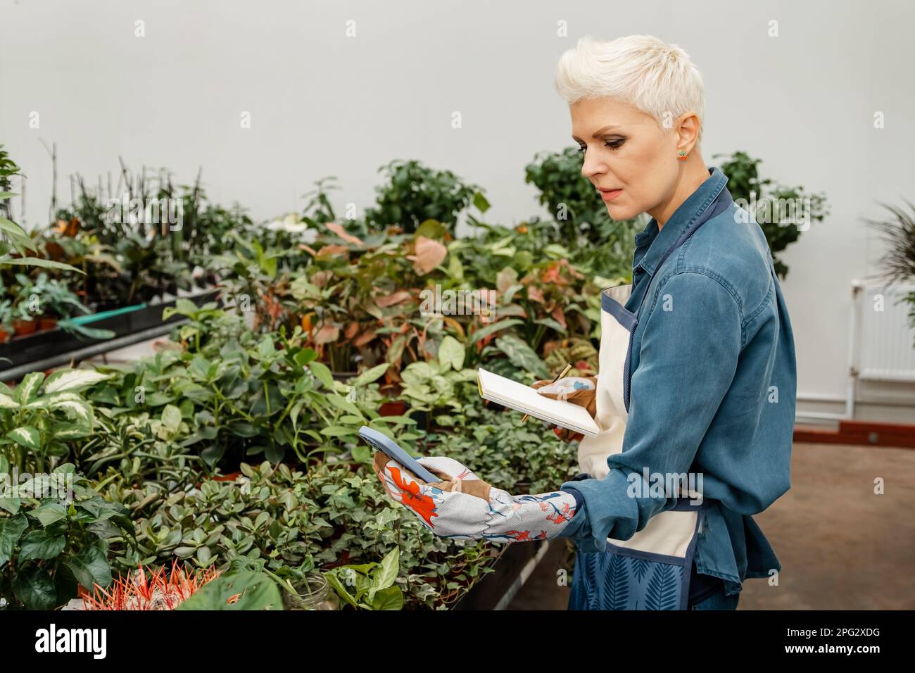 Home plant breeding, gardening, housewife, working online social media influencer. Happy beautiful female florist blogger being photographed with plan Stock Photo