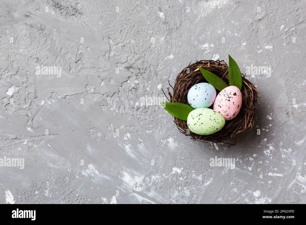 Colorful easter eggs in nest on table background with copy space top ...