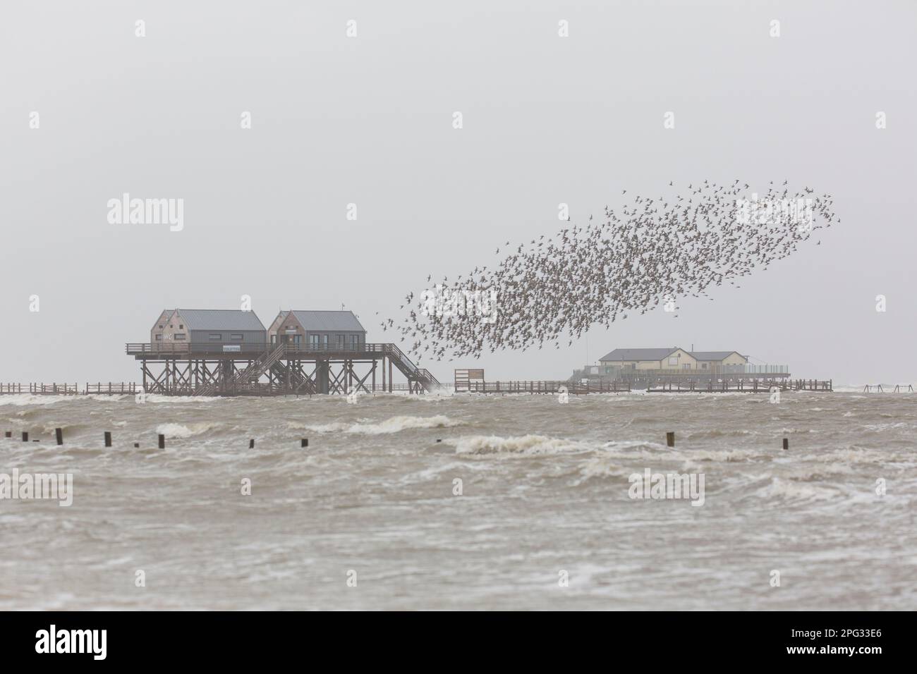 Stilt houses on the beach of St.PeterOrding, a popular German seaside