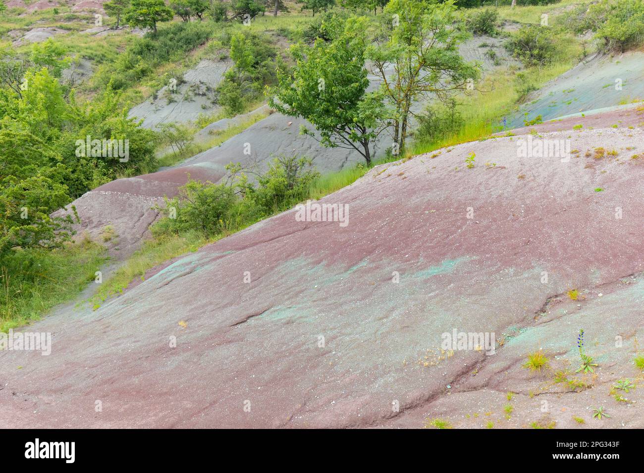 The Keuper slopes of the Badlands are nutrient-poor and dry and 