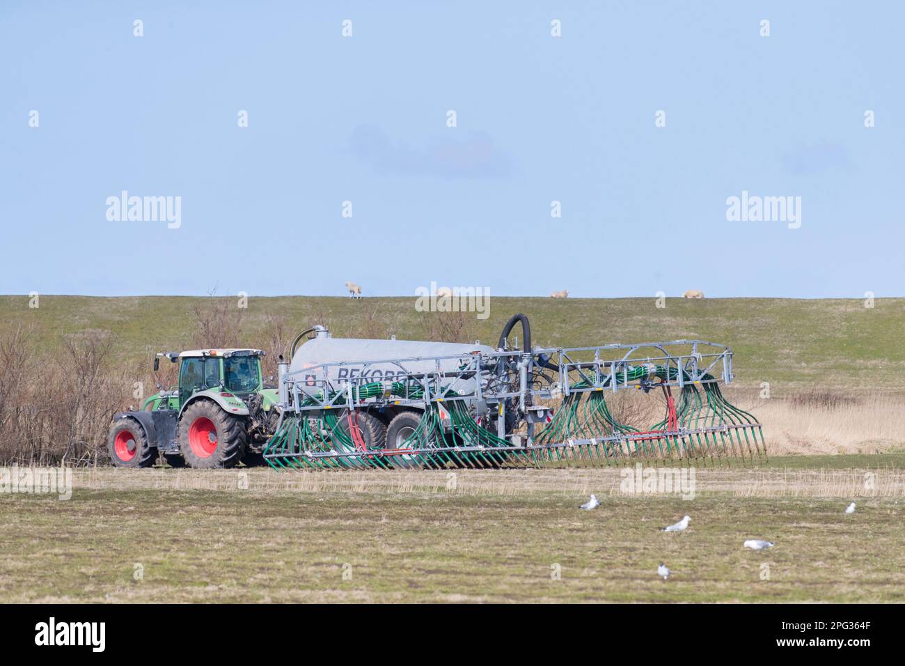 Spreading manure in a field. Germany Stock Photo