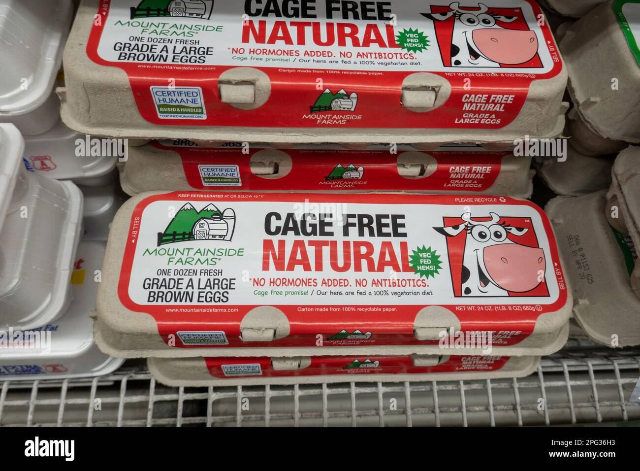 The price of eggs has gone up significantly in the past year, 2023, New