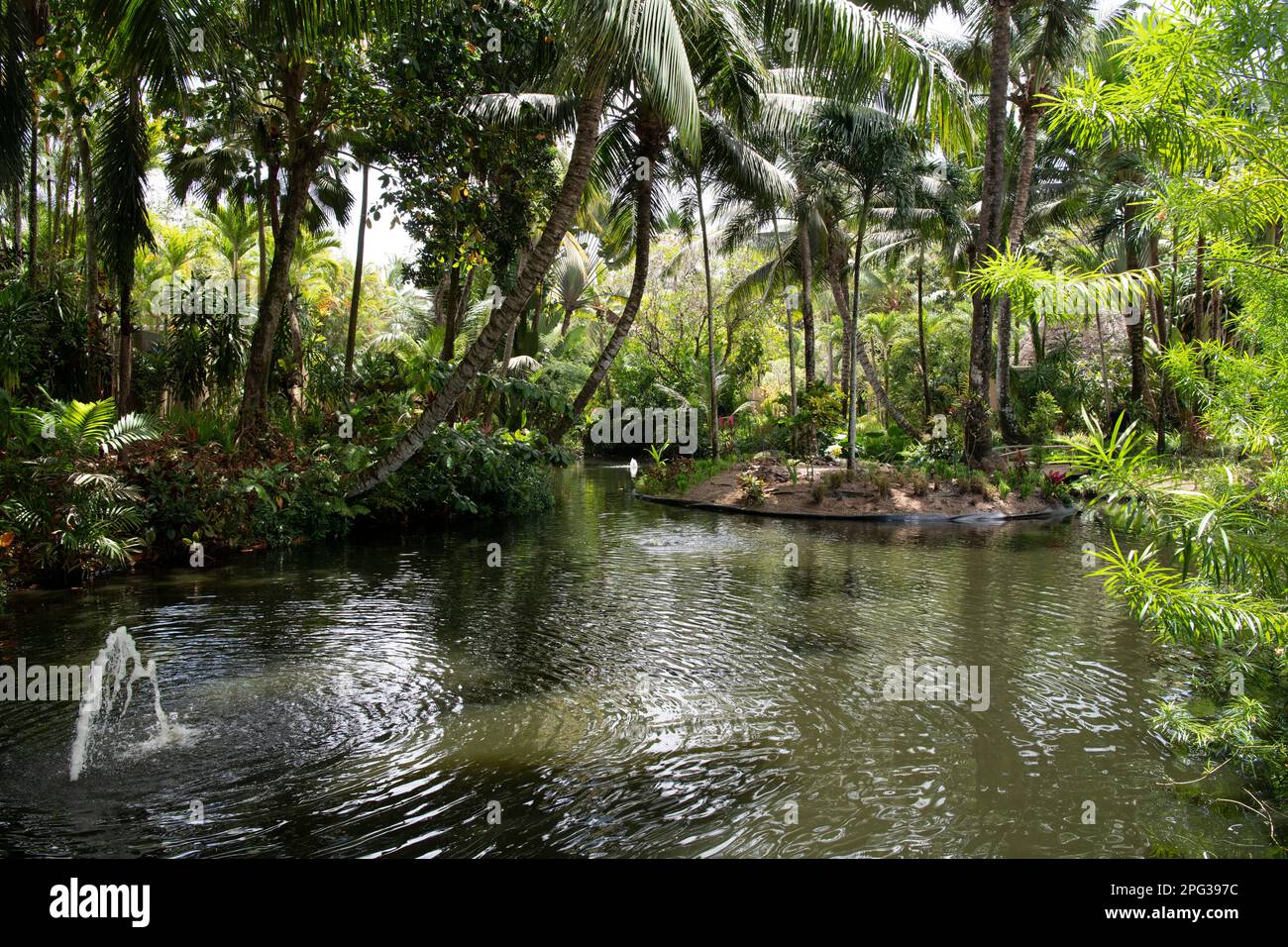 Tropical vegetation Anse Louis West Coast Mahe Seychelles Stock Photo