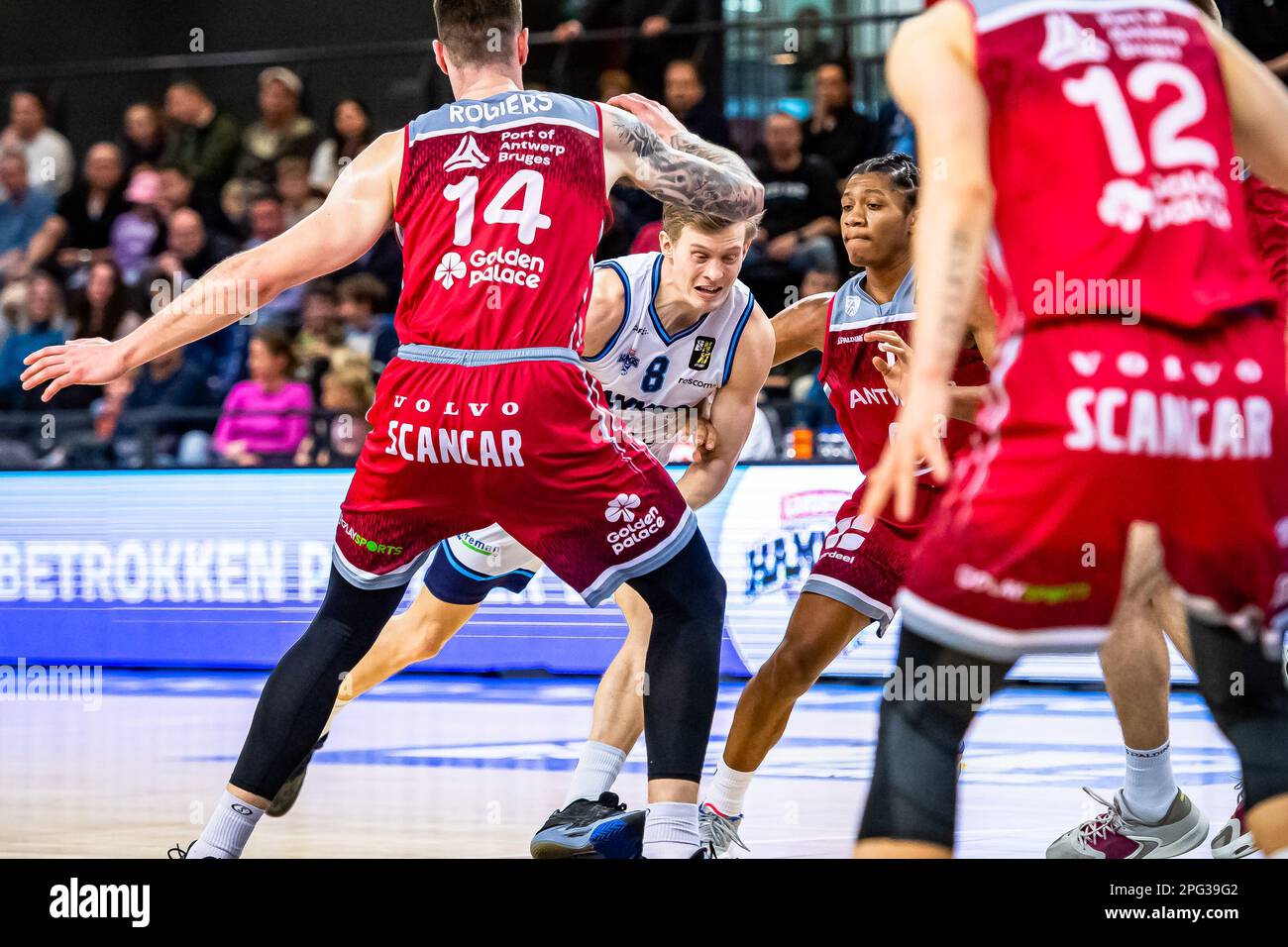 ZWOLLE, NETHERLANDS MARCH 19 Roby Rogiers of Giants Antwerp