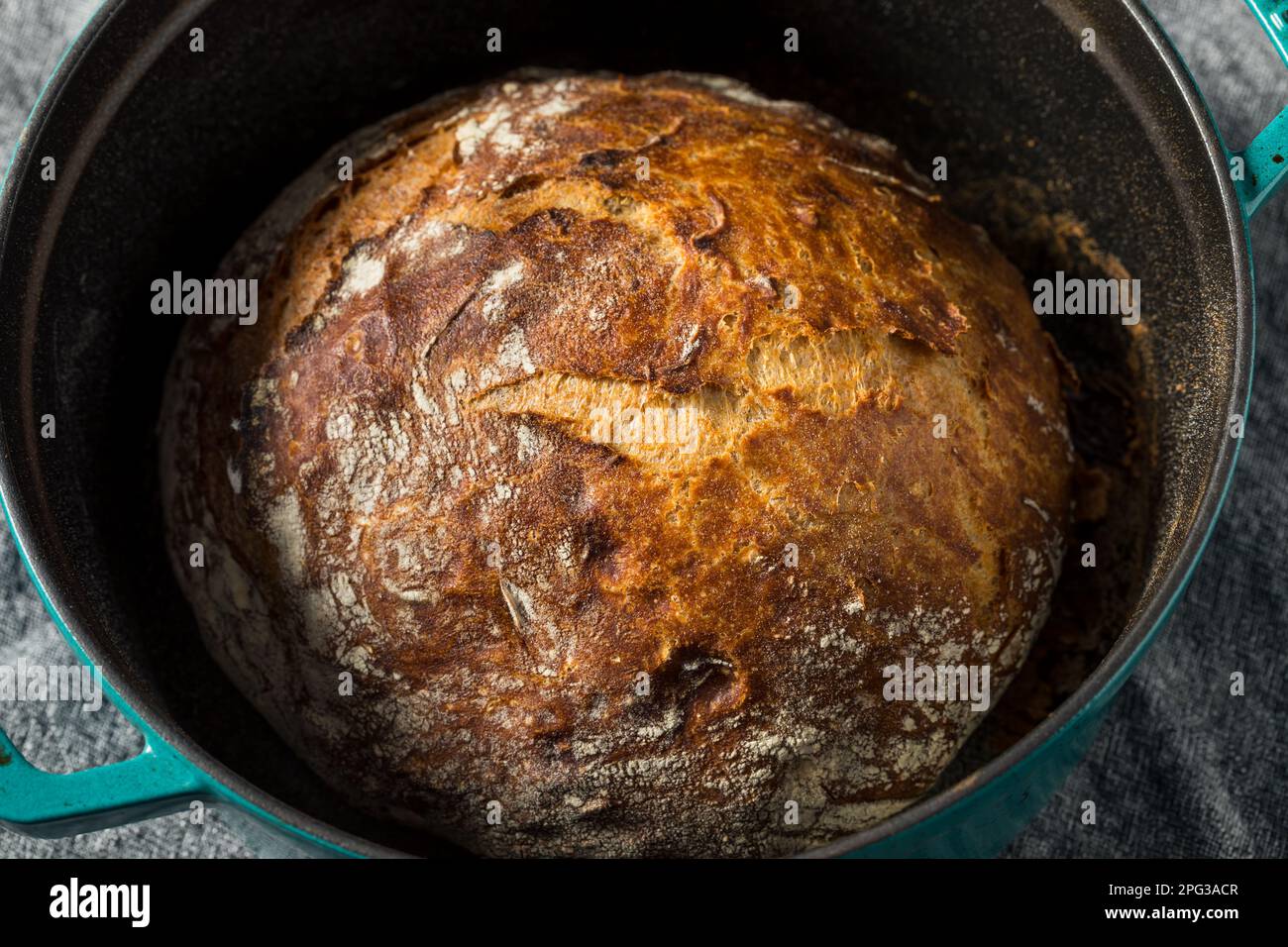 Traditional No Knead Peasant Bread Ready to Eat Stock Photo Alamy
