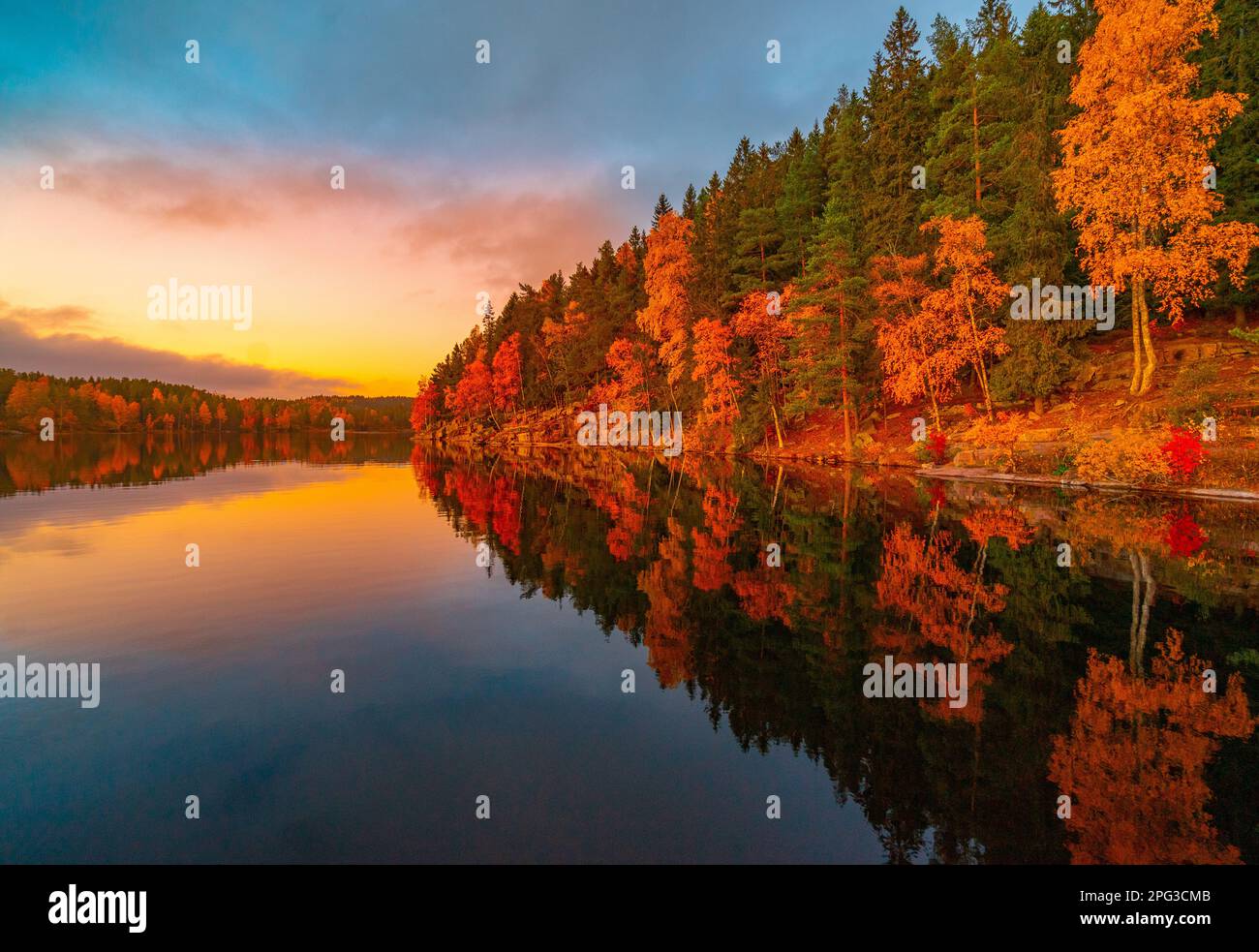 Lake reflection of autumn landscape. Location: Steinbruvann, Oslo Stock Photo