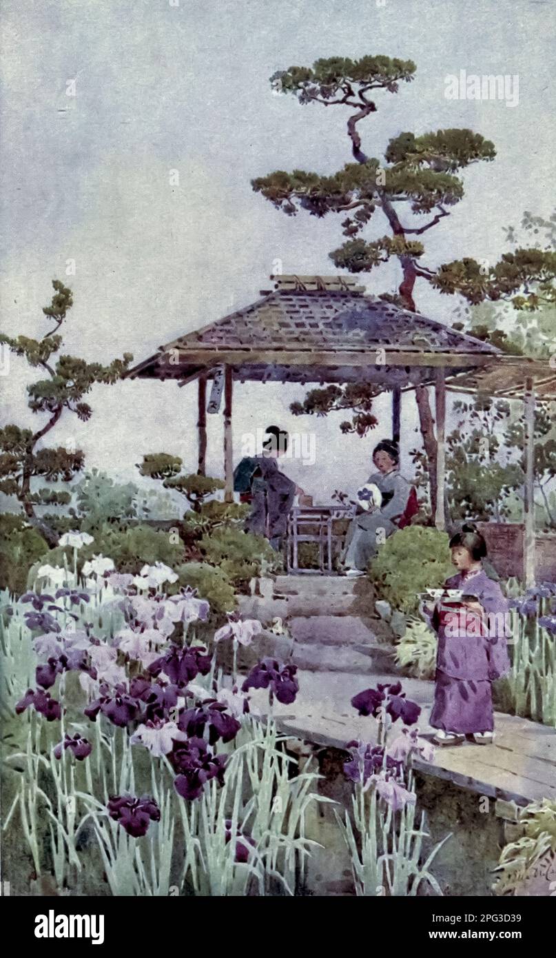 An Iris Garden painted by Ella Du Cane from the book '  The flowers and gardens of Japan ' described by Florence Du Cane Published in London by A. and C. Black in 1908 Stock Photo