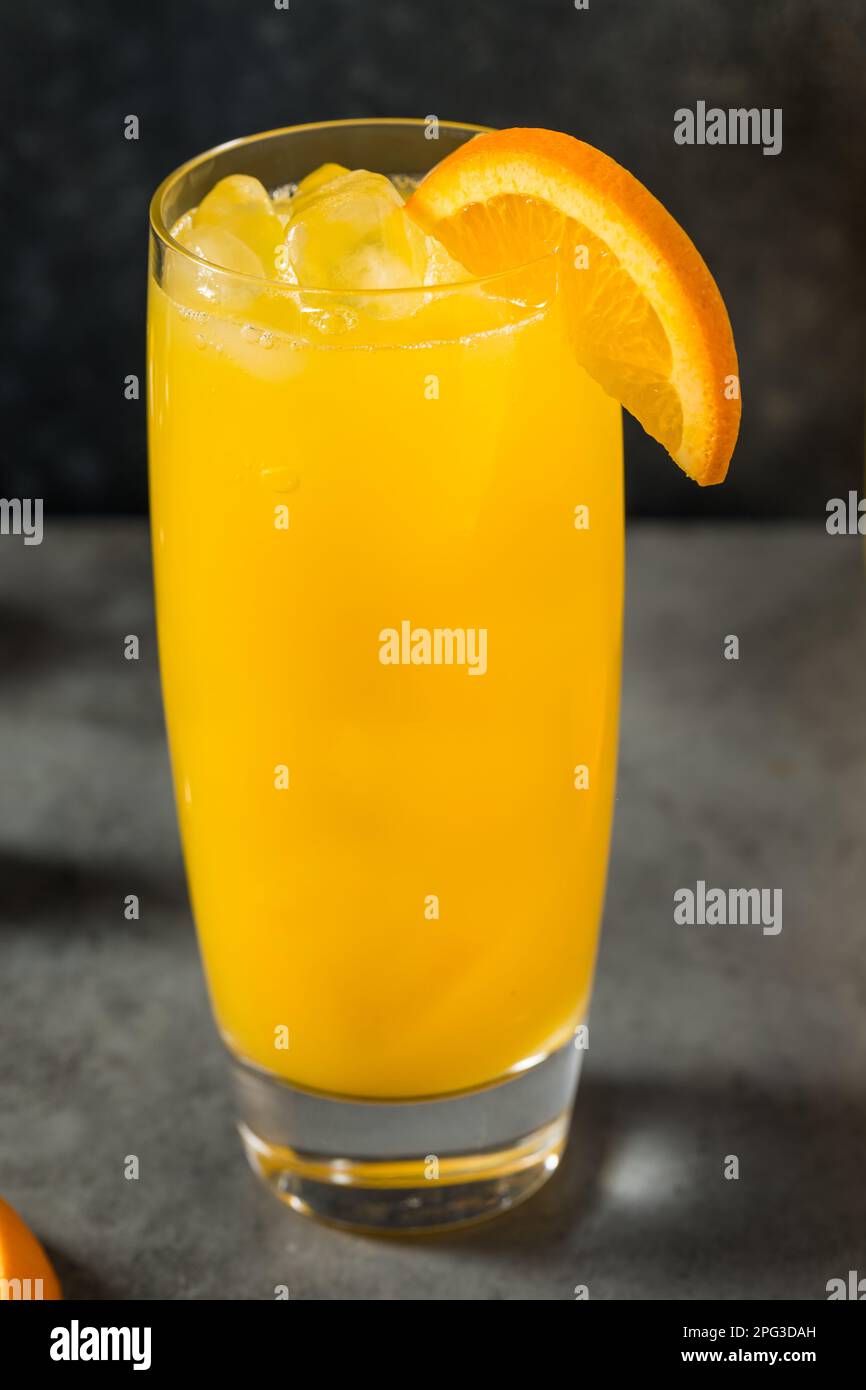 Boozy Cold Vodka Screwdriver Cocktail with Orange Juice Stock Photo Alamy
