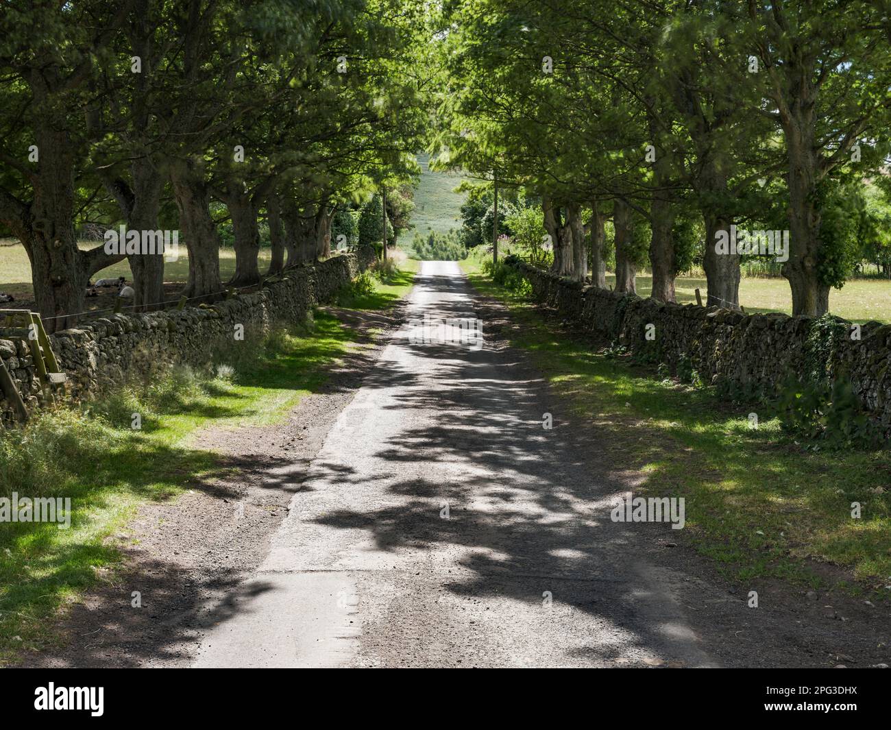 The road into the College Valley near Hethpool, Northumberland National Park, England Stock Photo