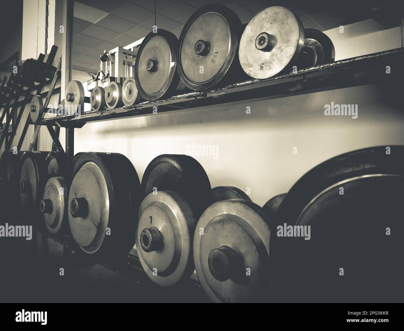 Old Gym with many body training equipment Stock Photo Alamy