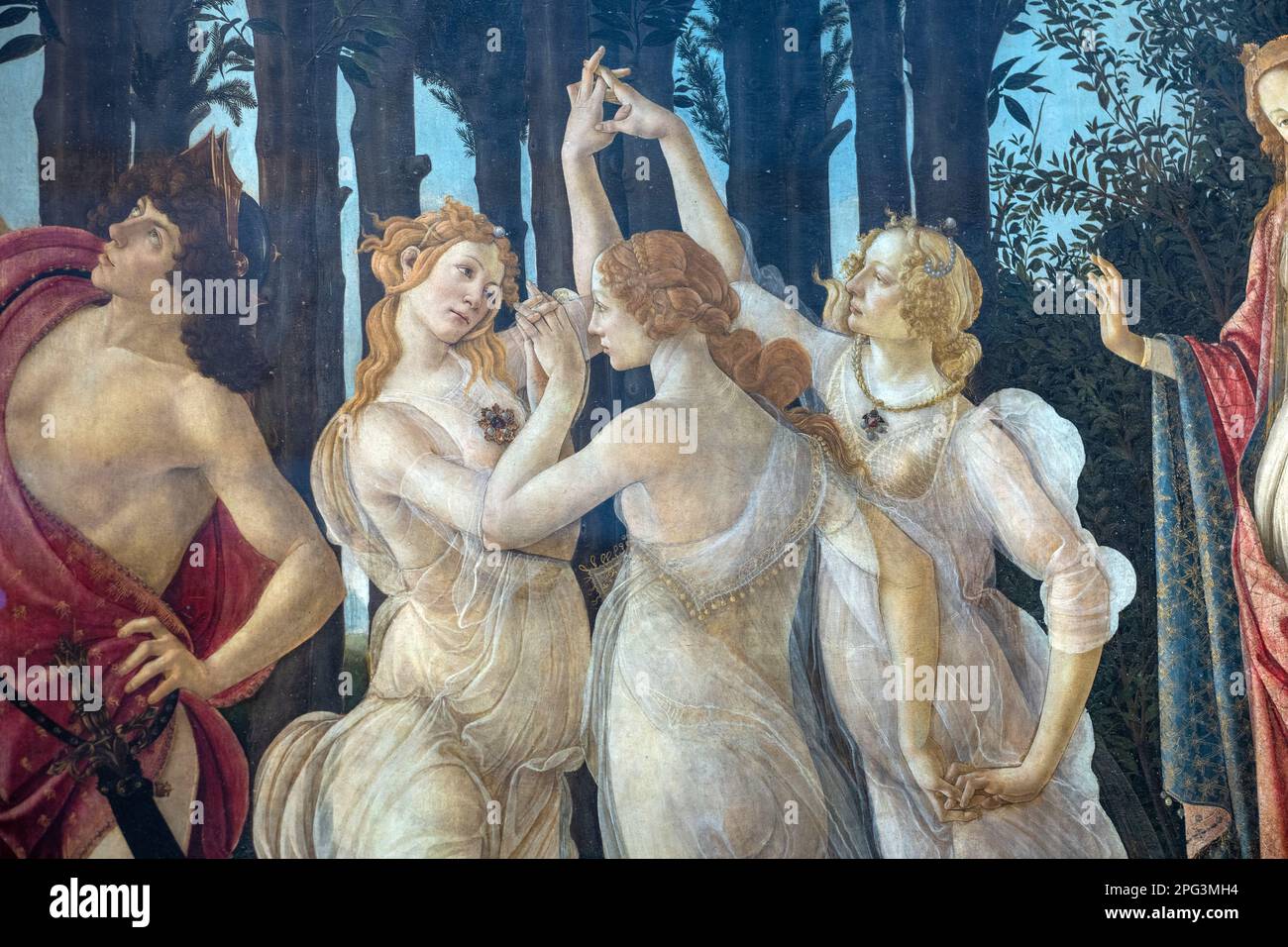 The Primavera, meaning Spring, painted by Sandro Botticelli on display at the Uffizi gallery in Florence, Italy. Stock Photo