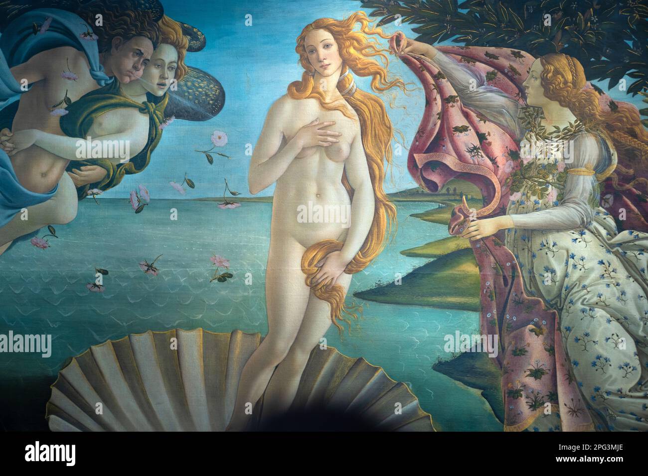 One of the most famous works of art in the world, The Birth of Venus by  Sandro Botticelli, on display at the Uffizi art gallery in Florence, Italy  Stock Photo - Alamy