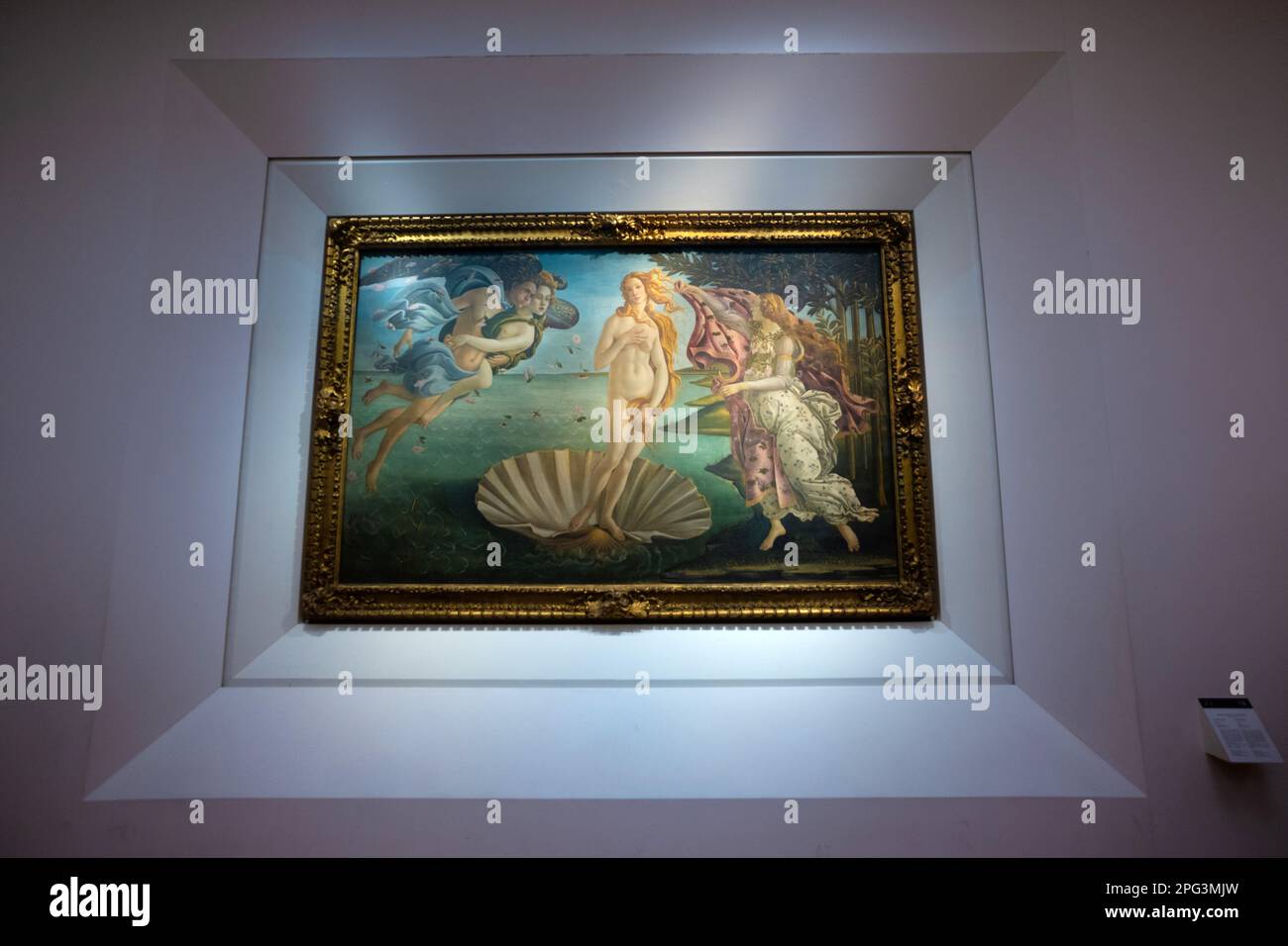 One of the most famous works of art in the world, The Birth of Venus by Sandro Botticelli, on display at the Uffizi art gallery in Florence, Italy Stock Photo