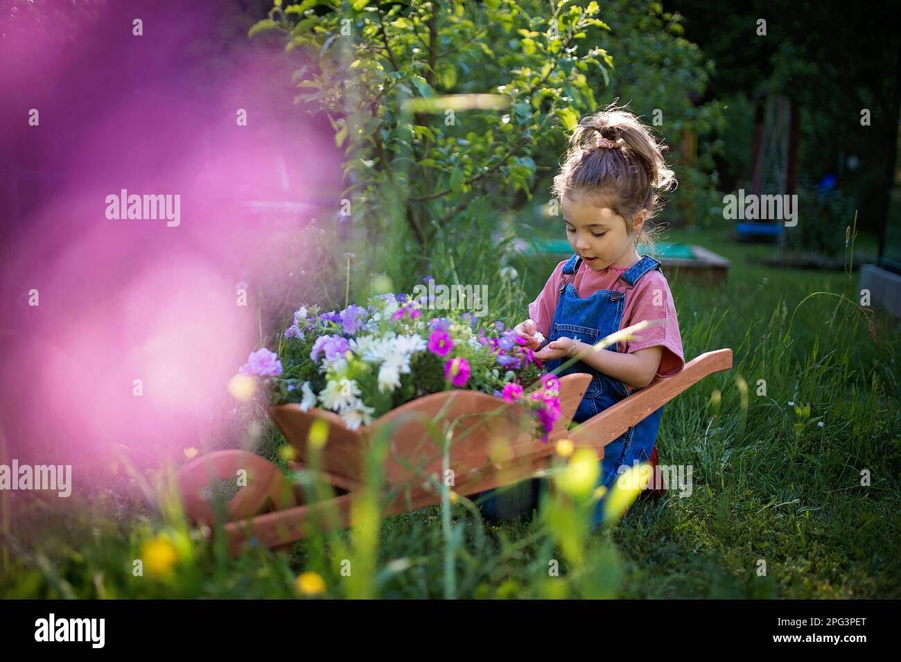 Little girl with wooden wheelbarrow full of flowers Stock Photo - Alamy