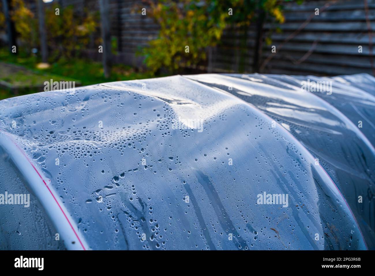 Homemade greenhouse for plants from pvc pipes and pvc film closeup