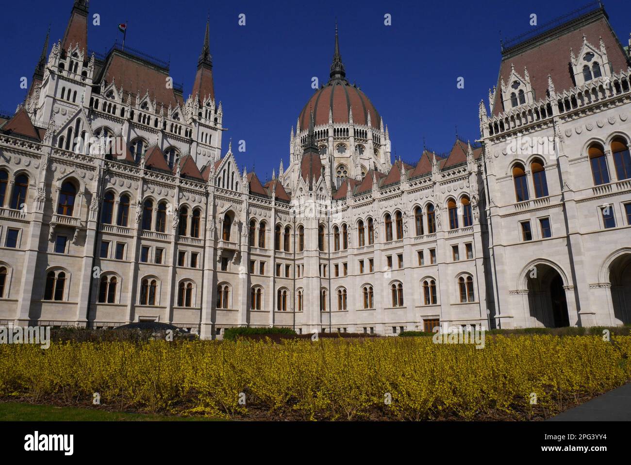 The neo-gothic Parliament building in Kossuth ter, Kossuth Square, forsythia in front, designed by Imre Steindl in 1885, Budapest, Hungary Stock Photo