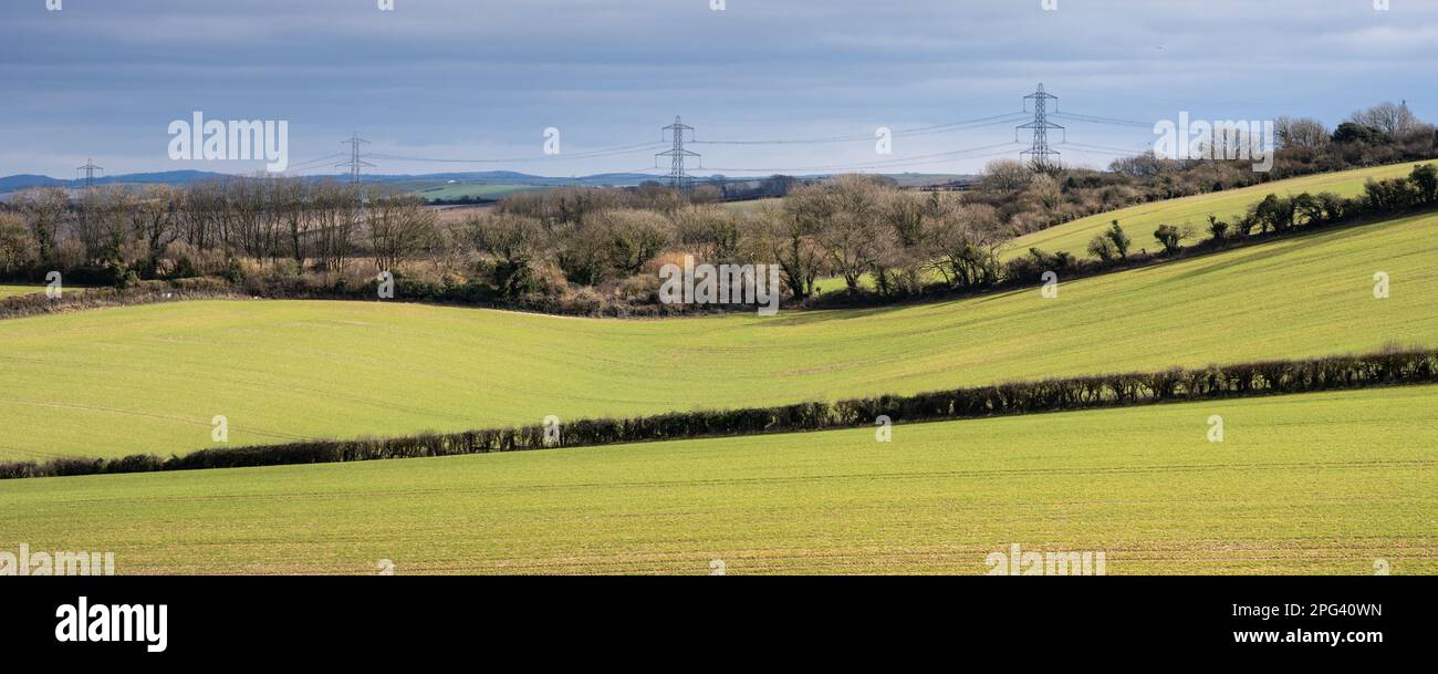 National Grid power lines march across fields in the rolling agricultural landscape of the South Dorset Downs near Broadmayne. Stock Photo