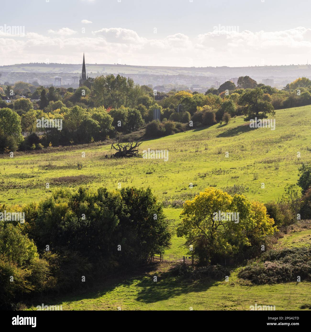 Trees begin to show autumn columns on a sunny day in Stoke Park, with