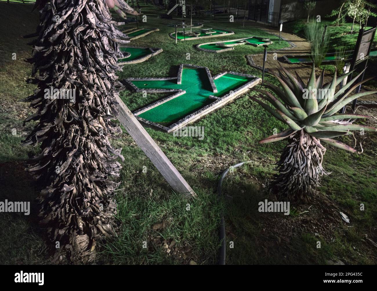 The Aloes on the putt-putt course at the Kam 'Bati River Resort near Swellendam in the Overberg area of South Africa. Stock Photo