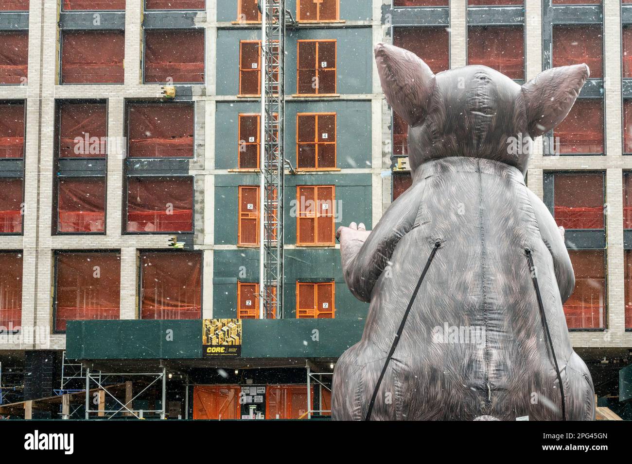 An inflatable union rat outside affordable housing construction in Chelsea  in New York on Tuesday, March 14, 2023. (© Richard B. Levine) Stock Photo