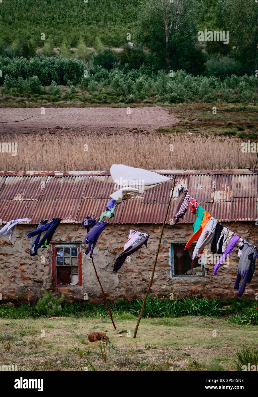 Washing hangs in front of a house in Haarlem South Africa Stock Photo