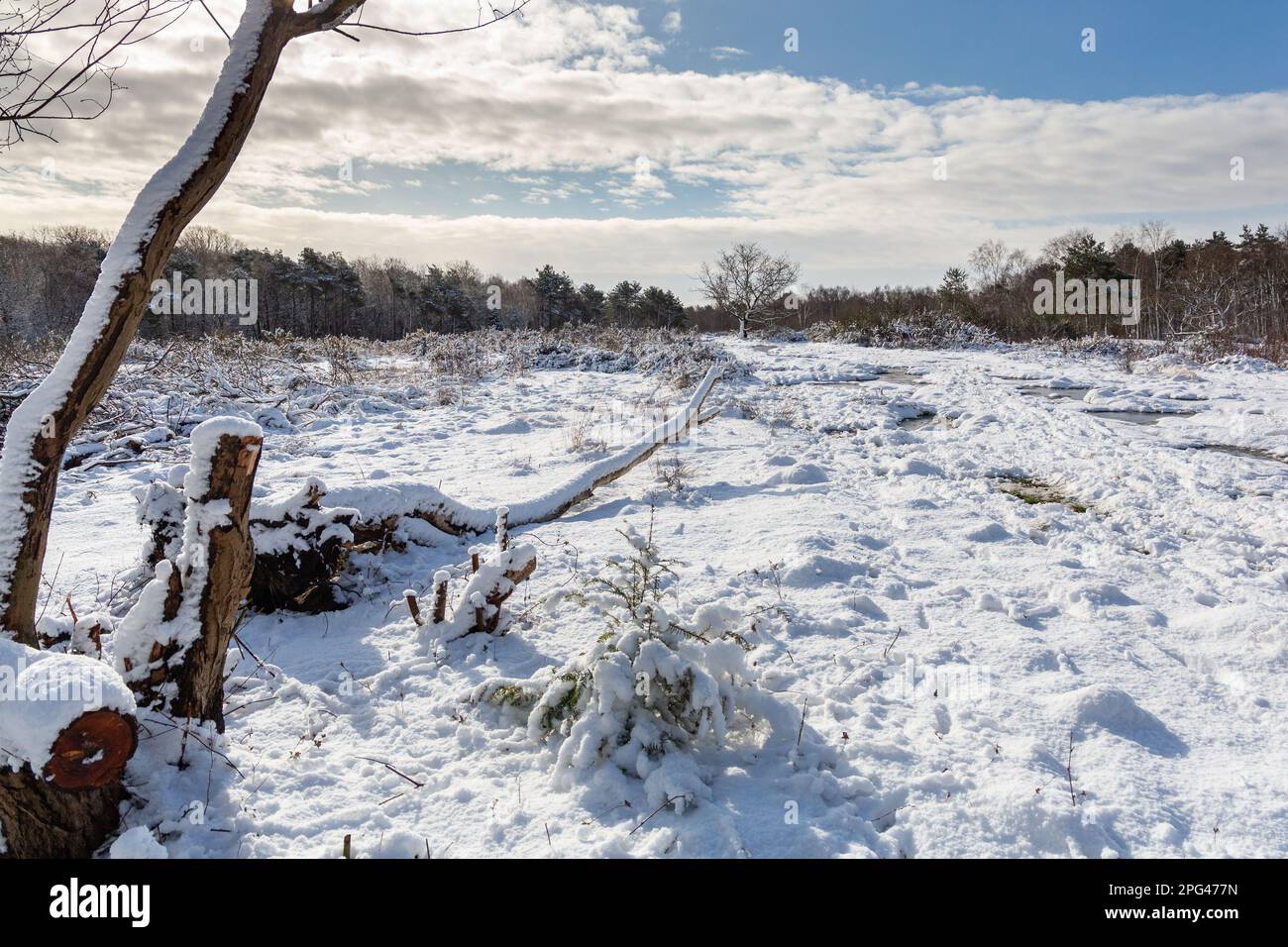 Birkenhead, UK March 10 2023 Snowy scene on Bidston Hill, a nature