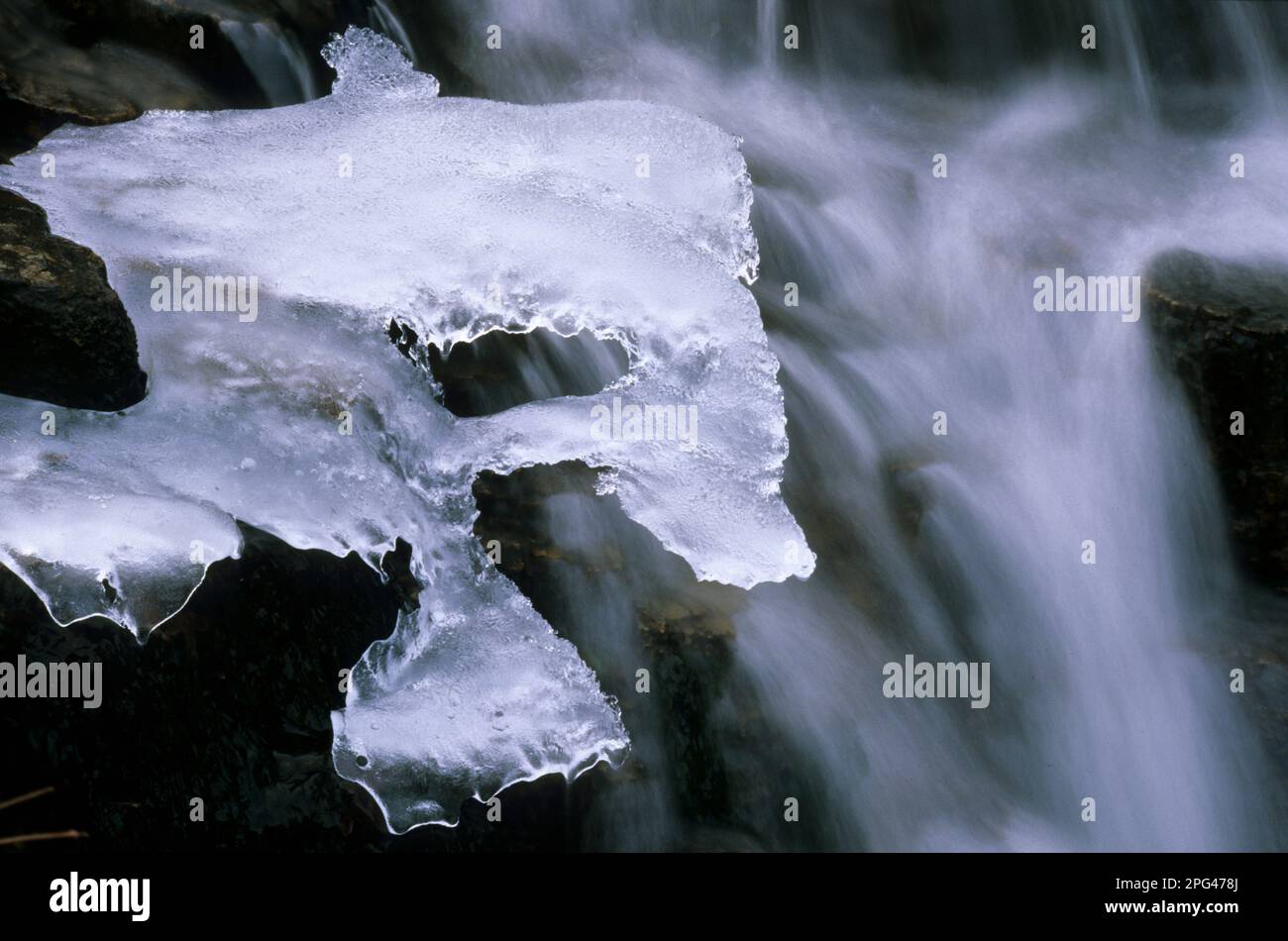 Torrente ghiacciato a Ortakis (Bolotana), sardegna. Italia Stock Photo