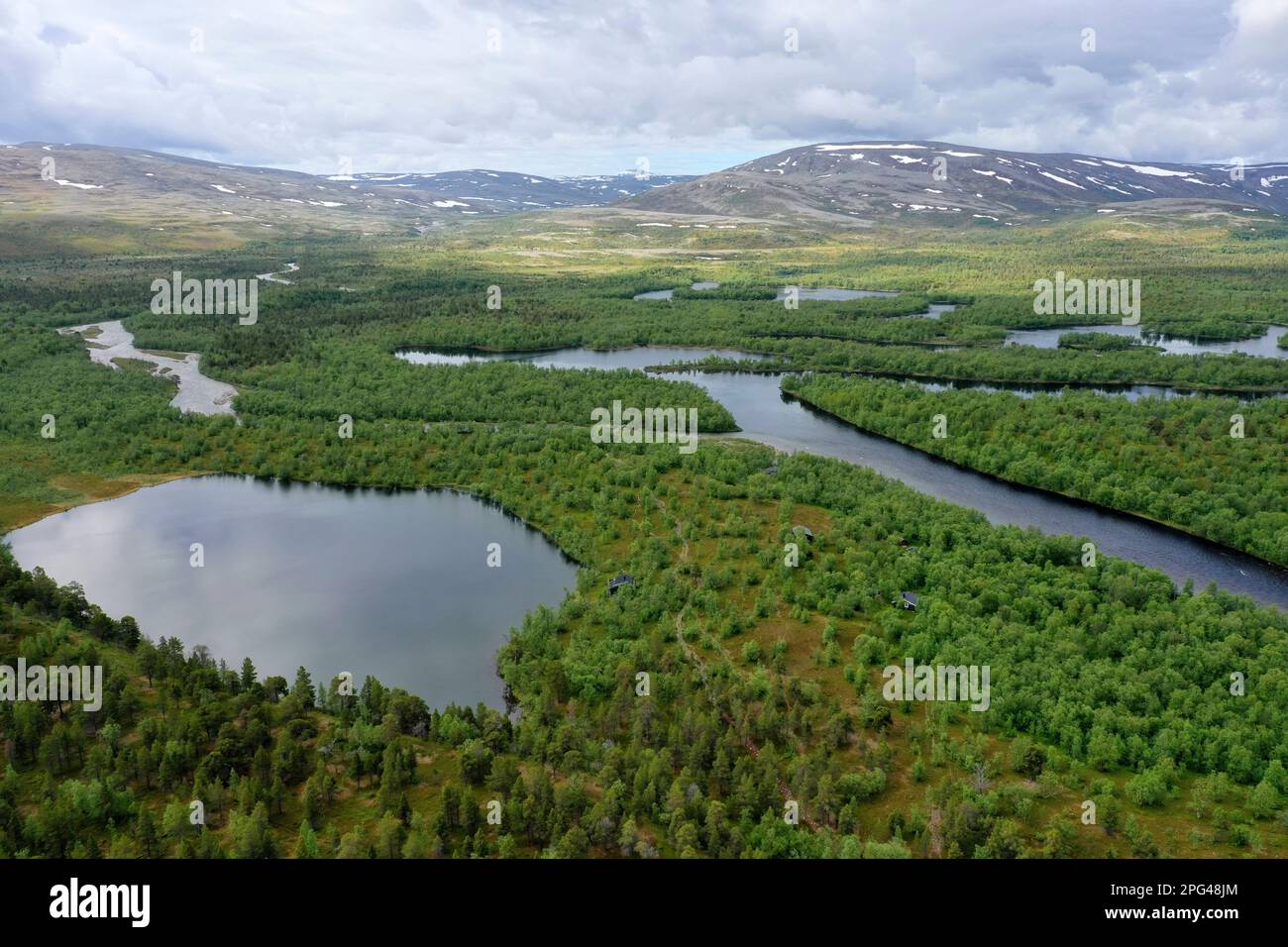 Wald, Nadelwald, Taiga, Kiedernwald im Stabbursdalen-Nationalpark mit Gewässern, Seen, Bächen, Flüssen, Stabbursdalen National Park, Nord-Norwegen, Fi Stock Photo