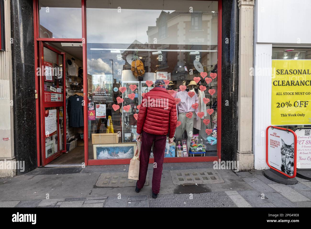 A man wearing a red jacket looks into the front display of a charity shop window, situated on Putney High Street, southwest London, England, UK Stock Photo