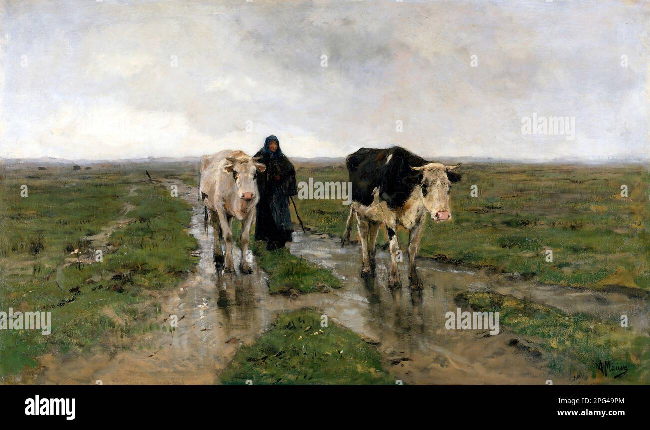 Changing Pasture by the Dutch artist, Anton Mauve (1838-1888), oil on canvas, 1876 Stock Photo