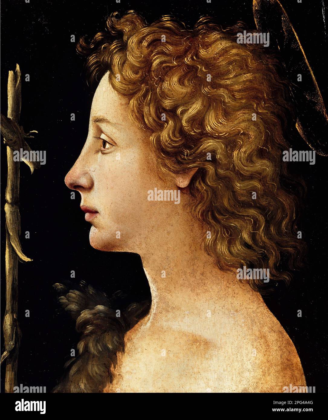 The Young Saint John the Baptist by the Italian Renaissance painter, Piero di Cosimo (1462-1522), tempera and oil on wood, c. 1480-82 Stock Photo