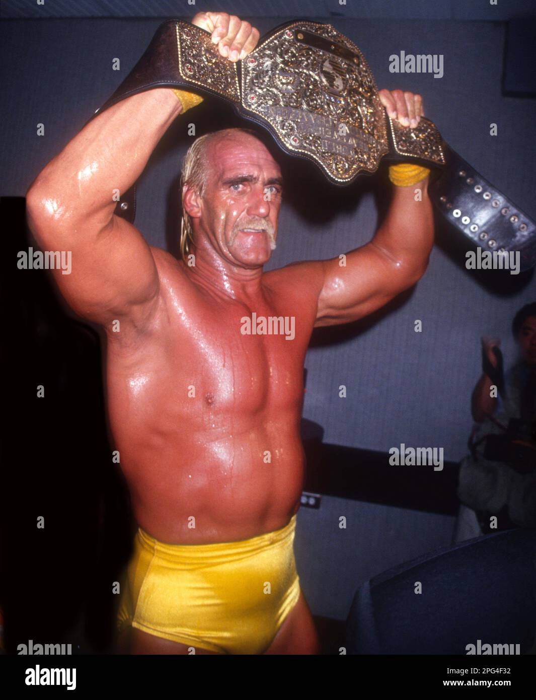 Hulk Hogan 1994 Photo By John Barrett/PHOTOlink/MediaPunch Stock Photo ...