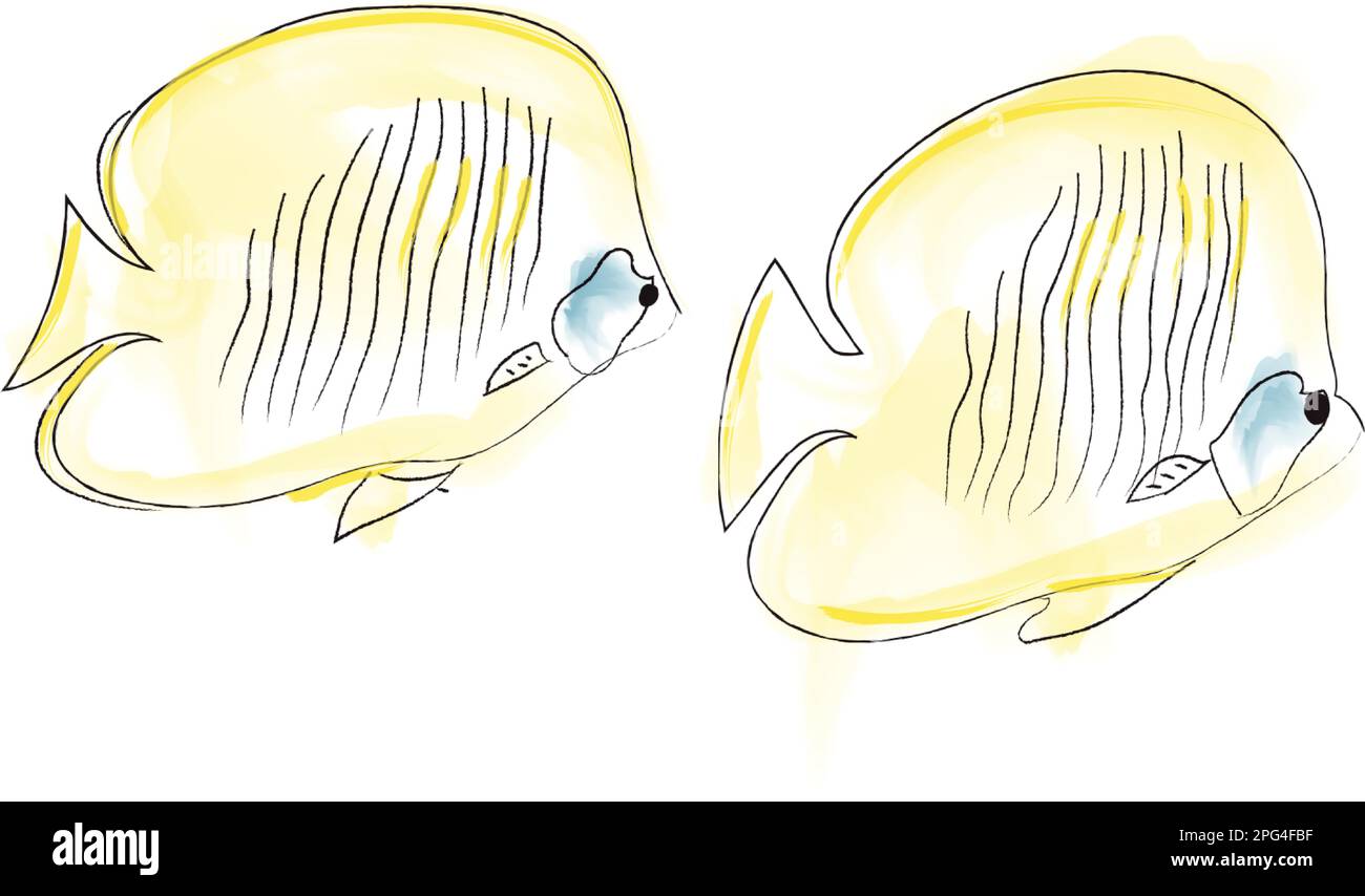 Yellow angel fish vector watercolor. Cute pair swimming together Stock ...