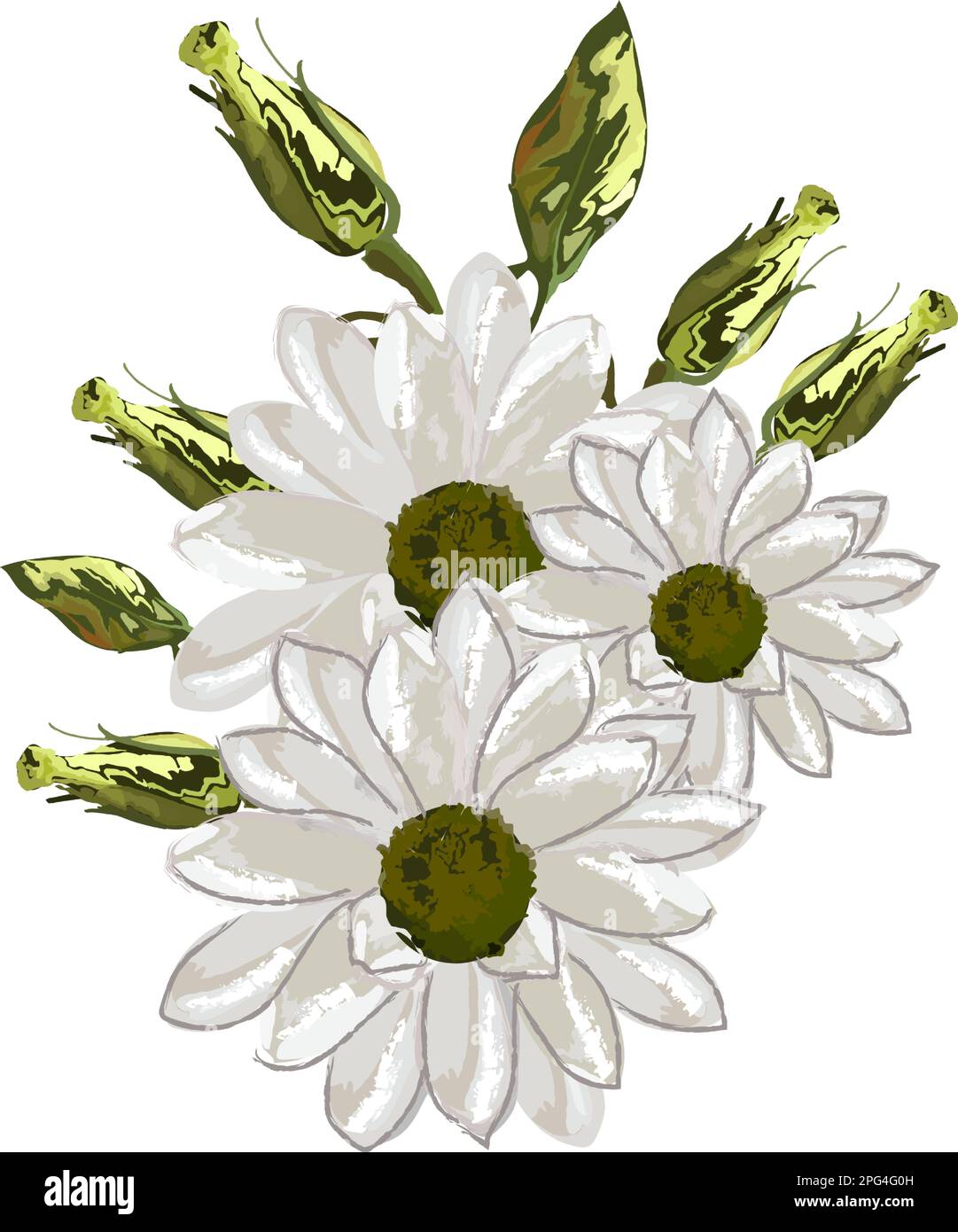 White daisy watercolor flower bouquet wedding card isolated vector illustration Stock Vector