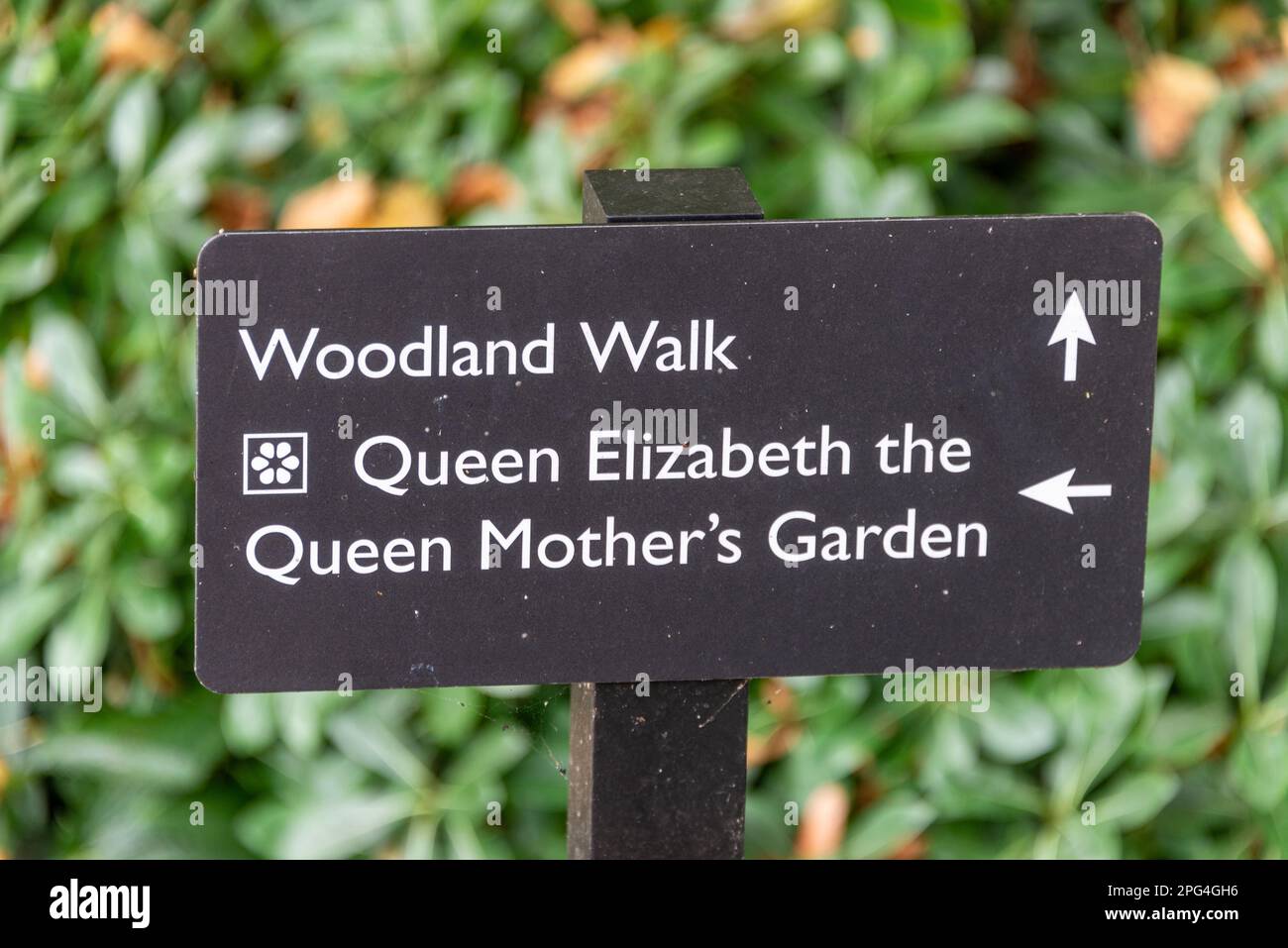 The Queen Mother's Garden within the grounds of Walmer Castle near Deal in Kent, Britain   The Queen Mother was Lord Warden for 23 years, and this con Stock Photo
