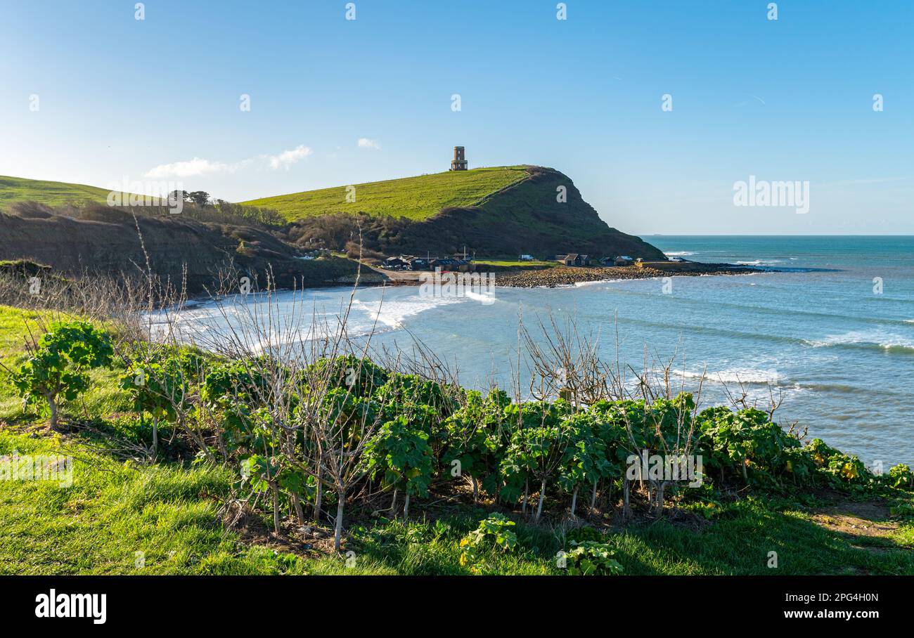 View of Kimmeridge bay cliffs from car park with green coast bushes and grass with Clavell Tower on top of the cliff top with blue sky. Stock Photo