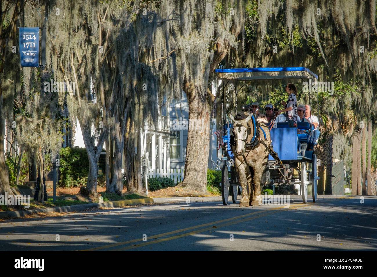 Beaufort, South Carolina tourists sightseeing on a horse and carriage ...