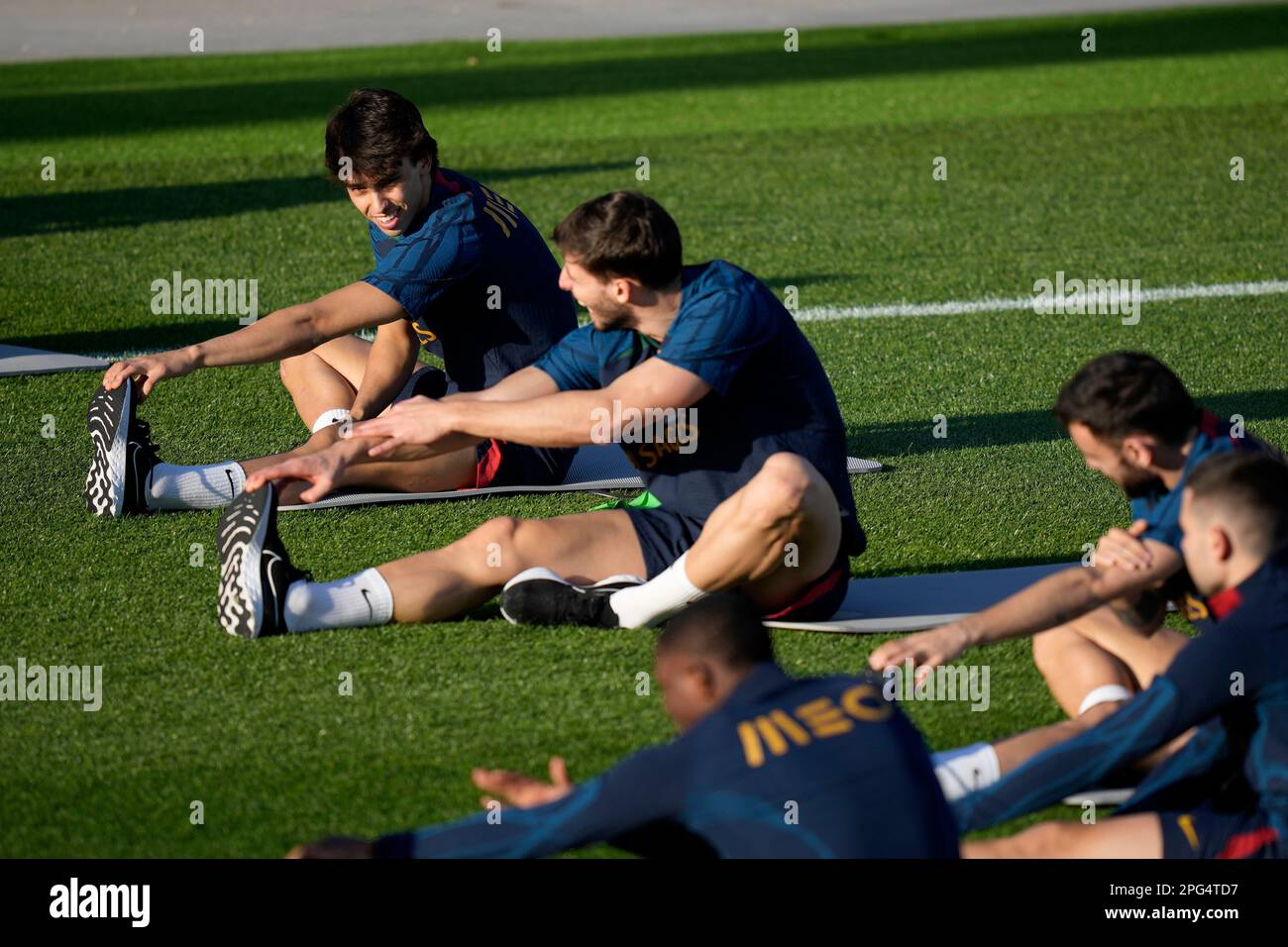 11837852 - UEFA European Qualifiers - Portugal training sessionSearch