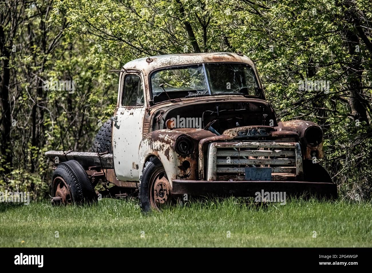 Old rustic junked GMC pickup truck sitting along the edge of a grove of trees in Cambridge, Minnesota USA. Stock Photo
