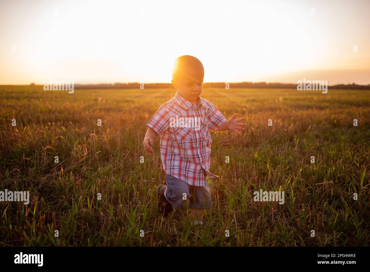 Little boy in plaid shirt runs around the mowing field of wheat in the rays of the sunset sun. Carefree childhood in rural areas. Concept of freedom a Stock Photo