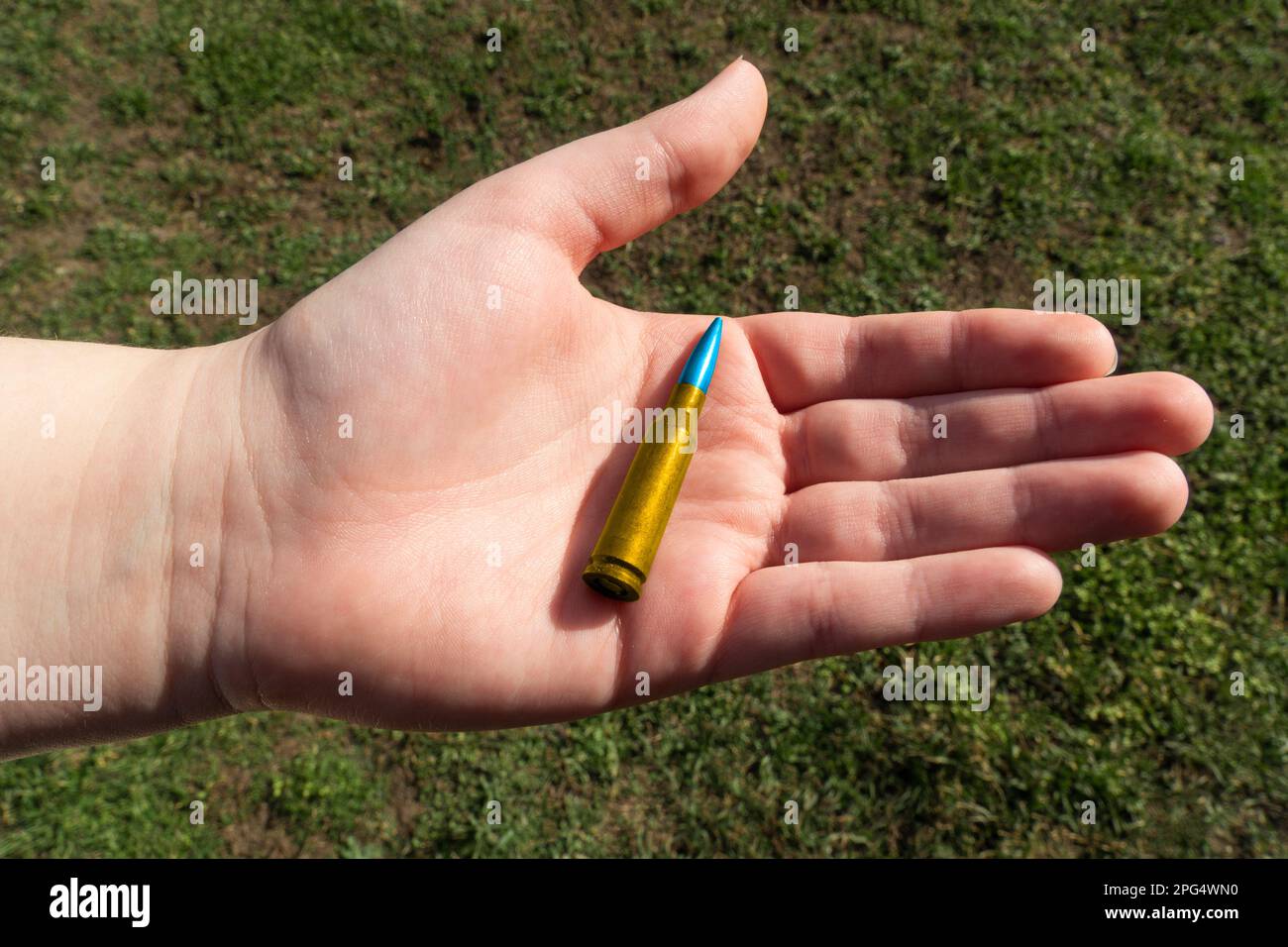 Yellow-blue rifle cartridge in hand against the background of green grass (national symbols of Ukraine). The concept of military support for Ukraine Stock Photo