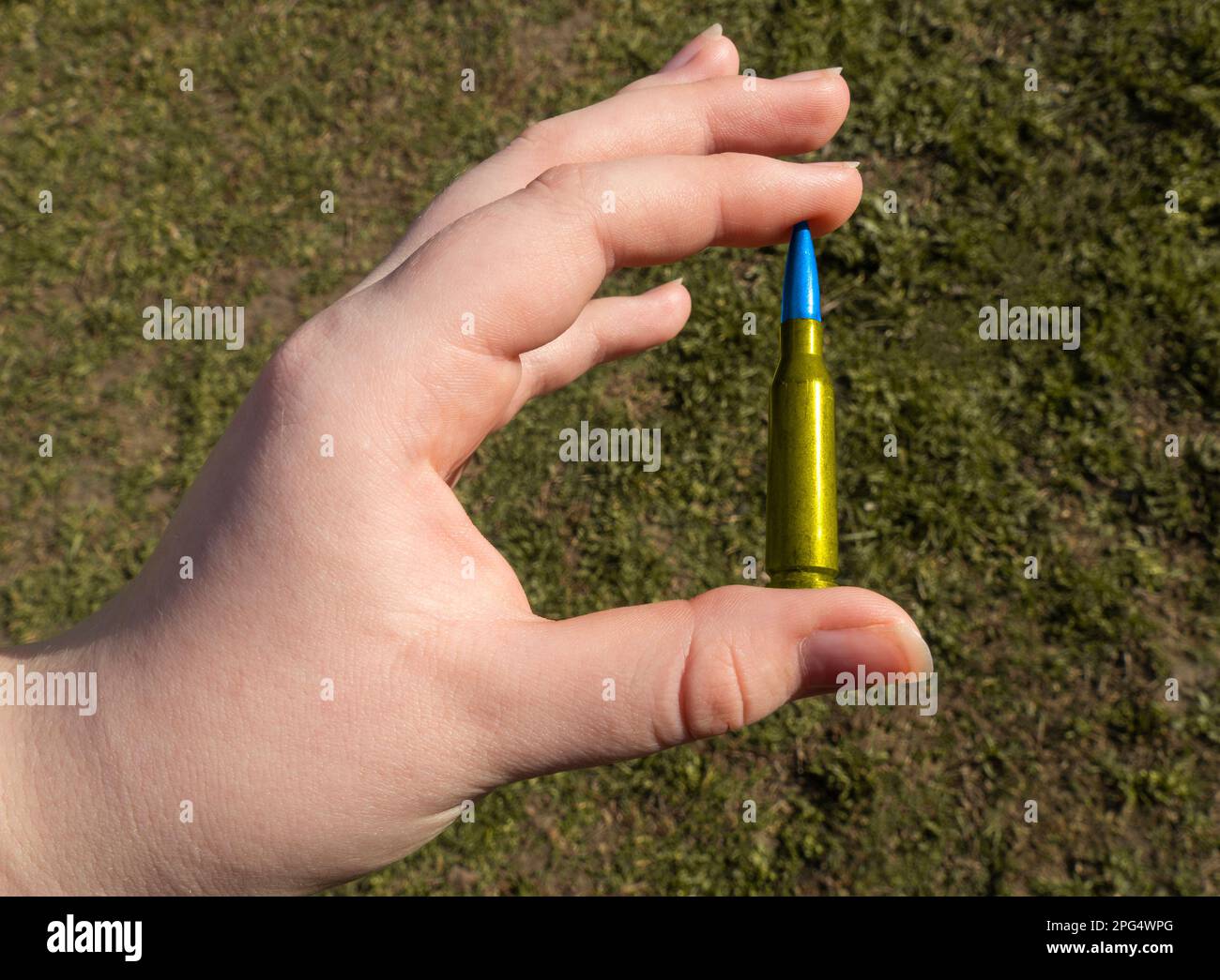 Yellow-blue rifle cartridge in hand against the background of green grass (national symbols of Ukraine). The concept of military support for Ukraine Stock Photo