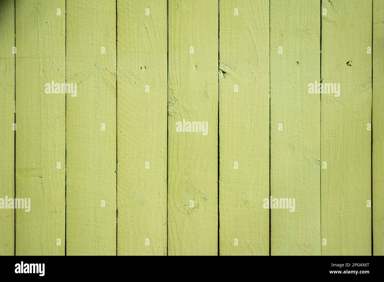 Pastel green spring colors fence background Stock Photo